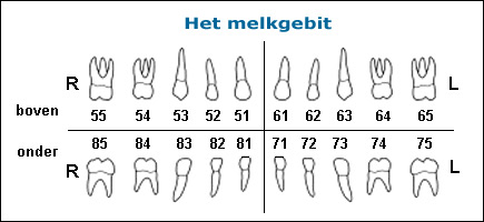 Schema melkgebit